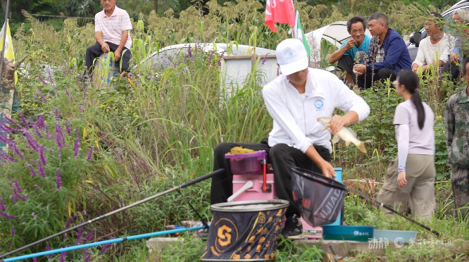 以总重, 冠军选手获